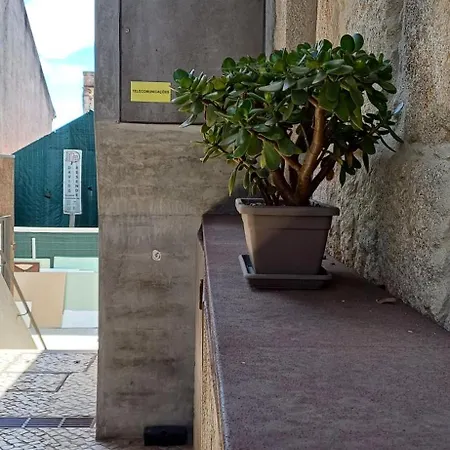 Typical Loft Downtown